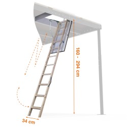 3m Telescopic wooden Ladder